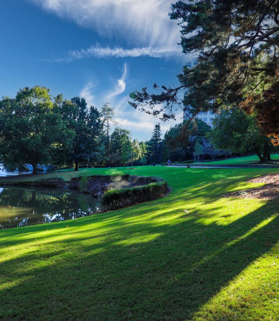Sunny park with lush green grass, trees casting long shadows, and a small pond under a blue sky.